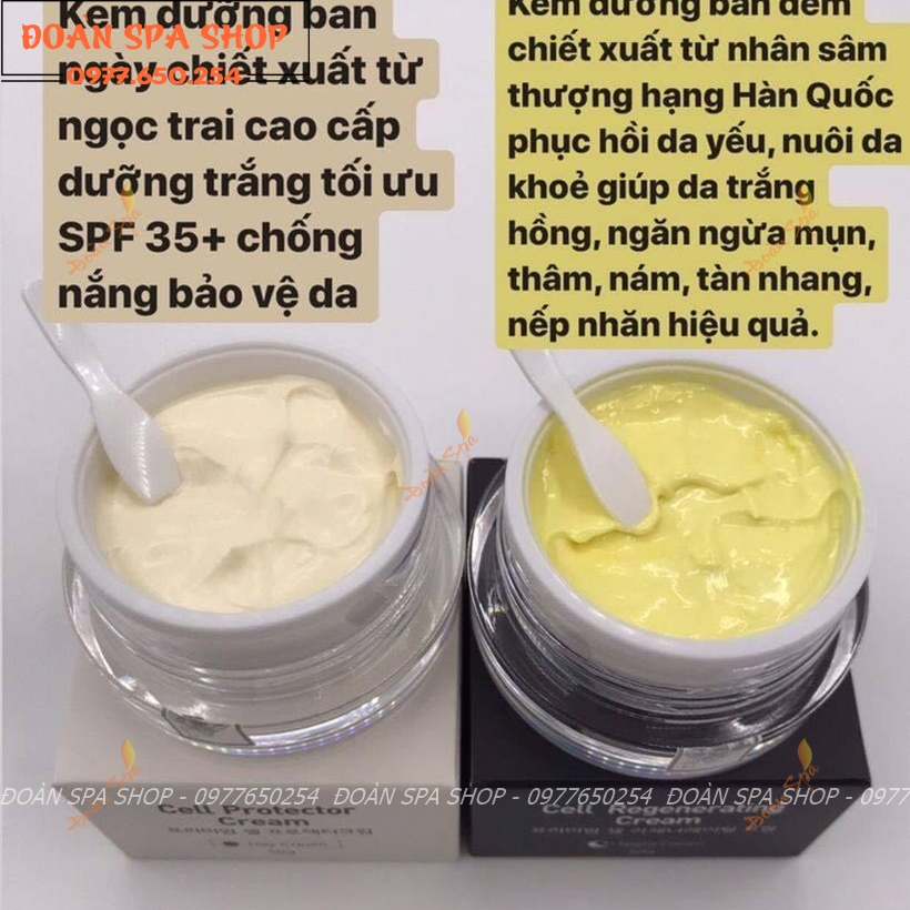 [Mẫu mới] Kem dưỡng da ban ngày Dr Shee