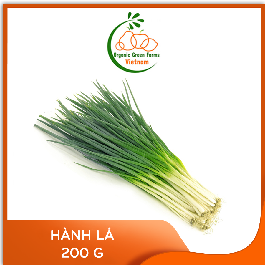 [OGF] - Hành lá (100g) - Giao nhanh HCM