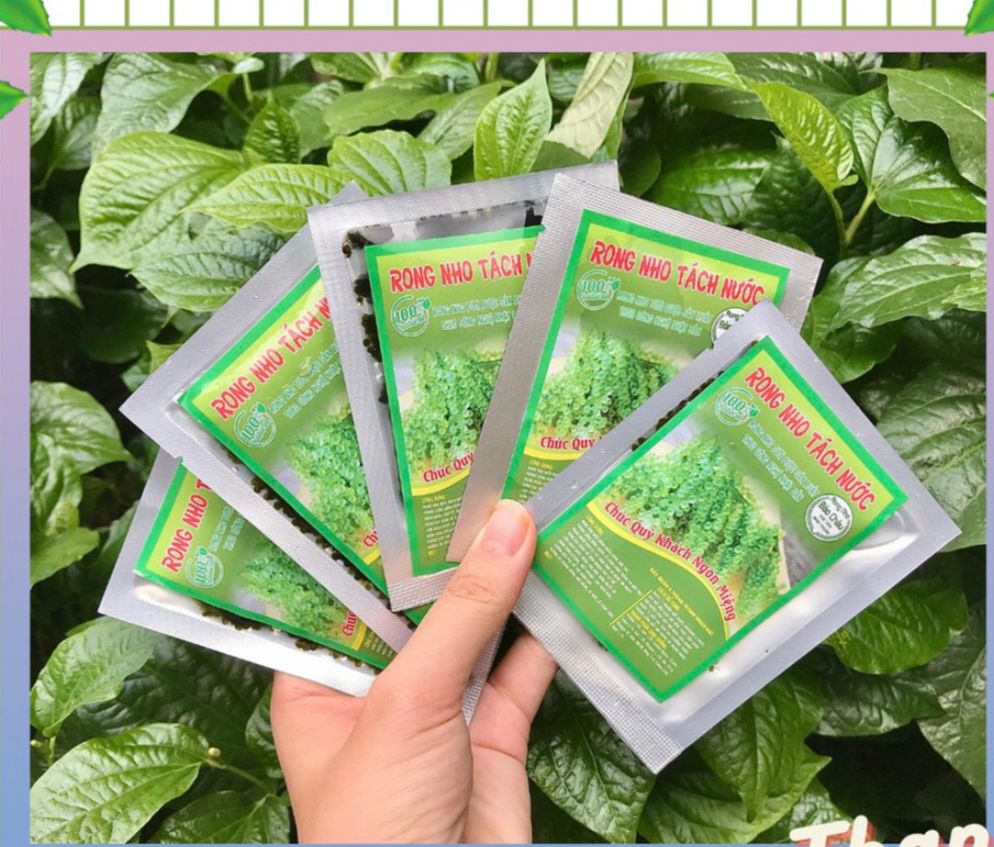Rong nho tách nước Bảo Châu