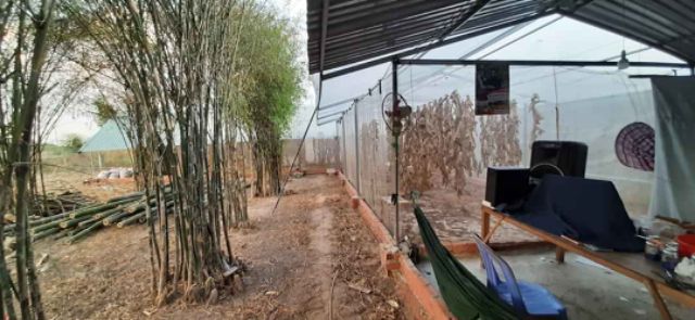 Lồng nuôi cào cào 3x2x2
