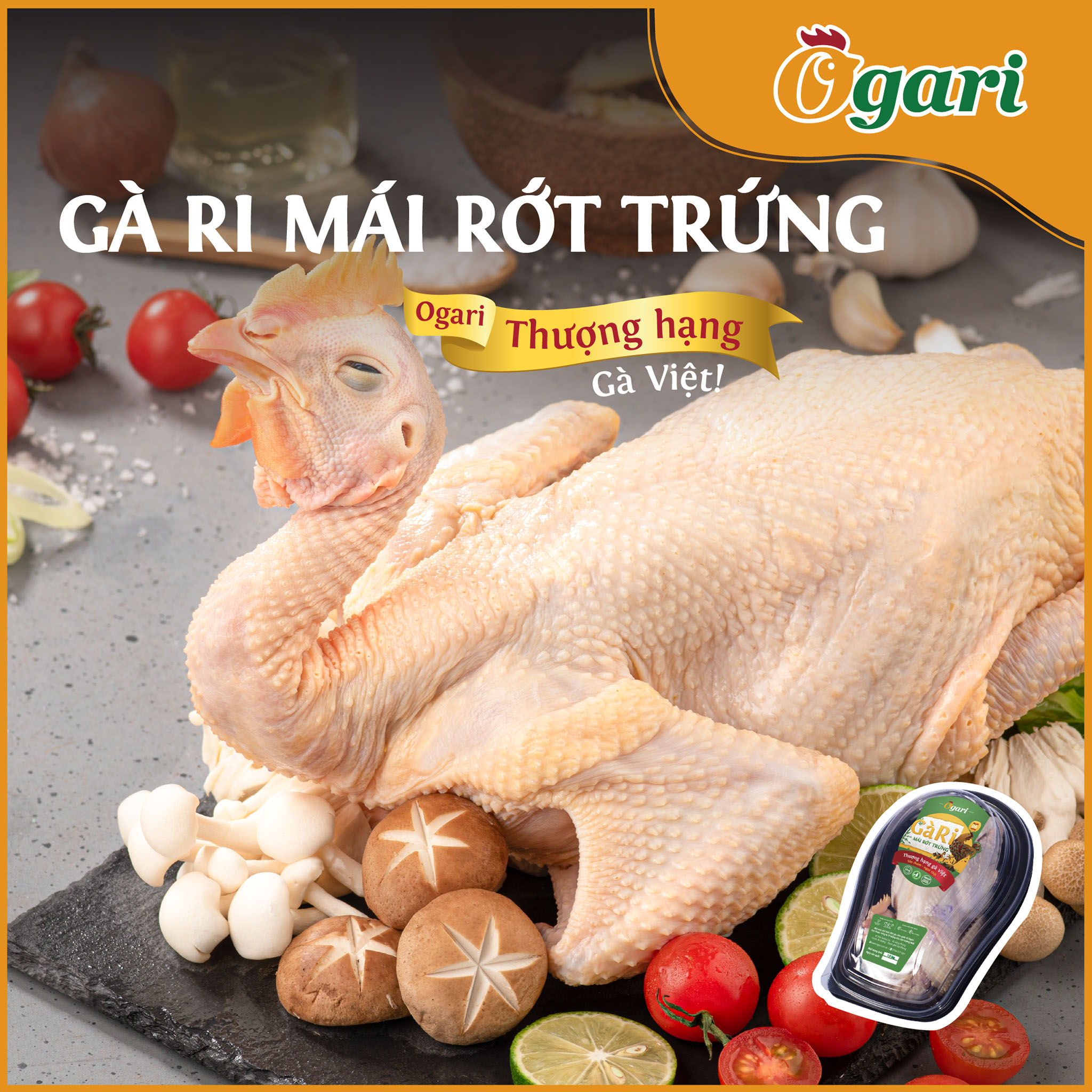 Gà Ri Mái Rớt Trứng Ogari