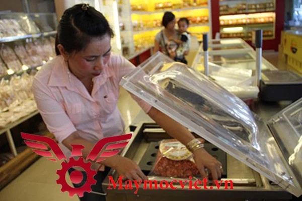 Máy ép chân không DZ 500 tại Đà Nẵng