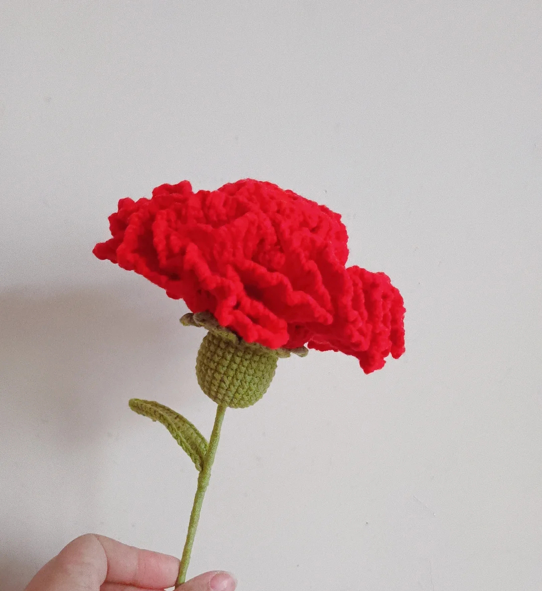 Tinh linh hoa cẩm chướng