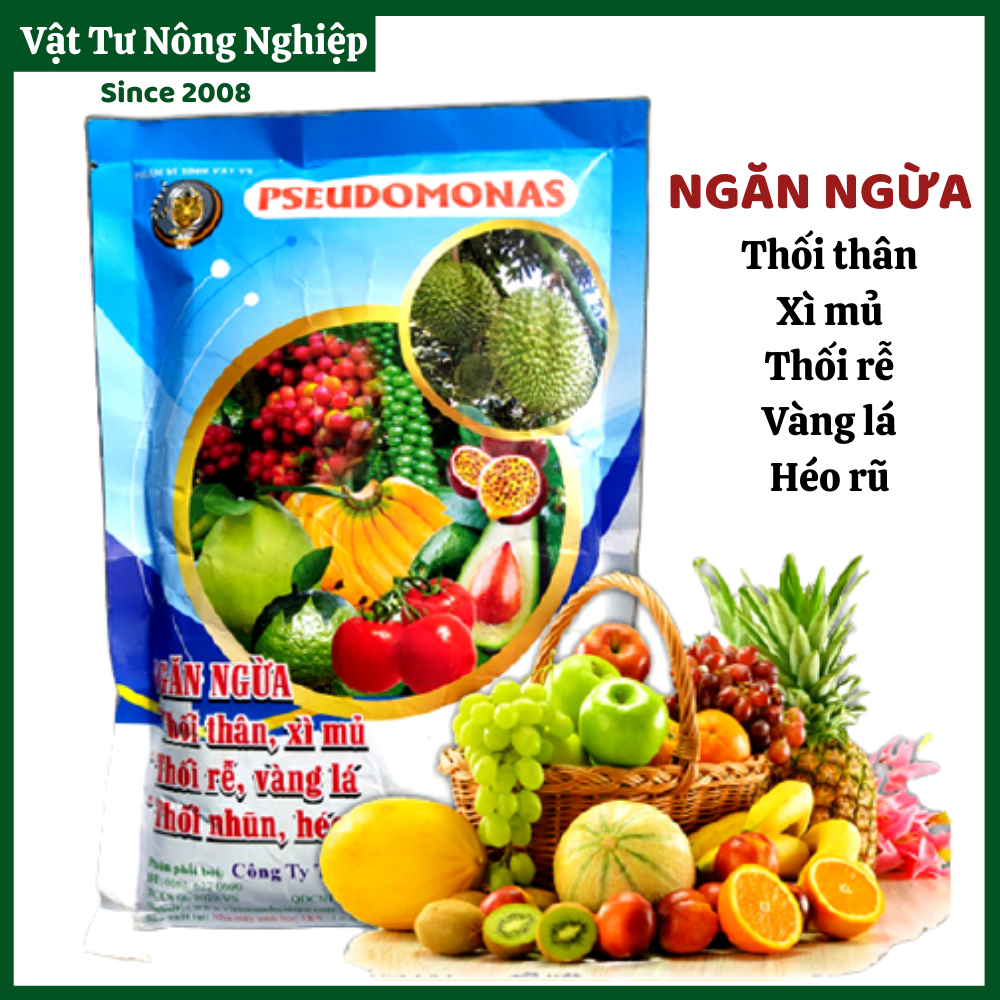 Chế phẩm sinh học Pseudomonas