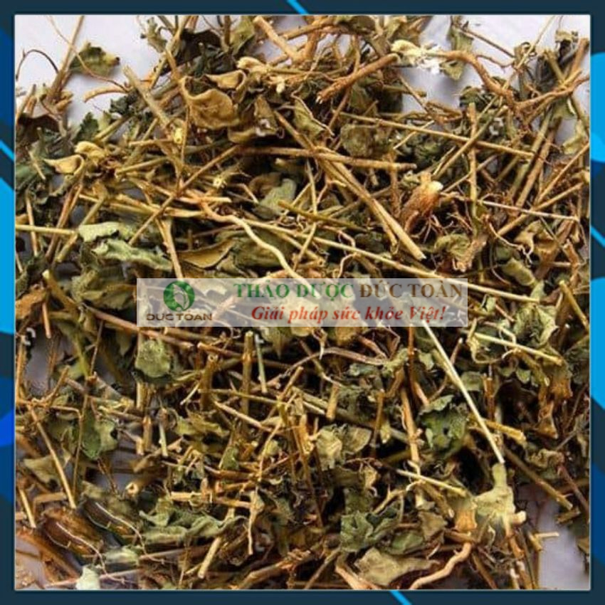 Cà Gai Leo Khô [Giá sỉ] túi 1Kg