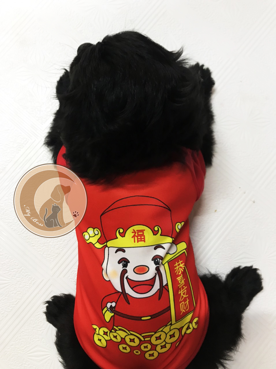 Áo tết thần tài chó mèo