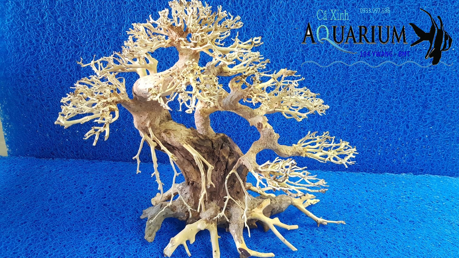 Cây Bonsai cho hồ cá size trung