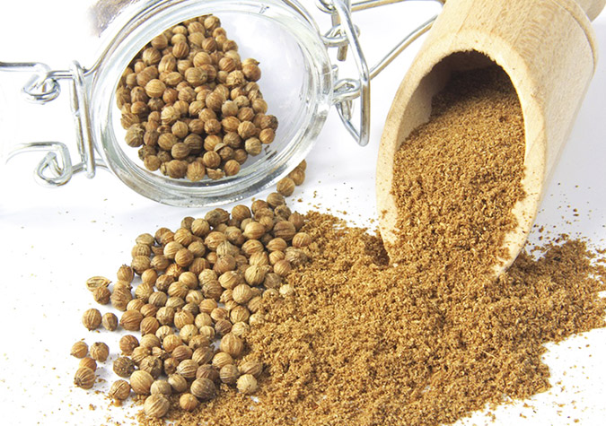 [Gói 100g] BỘT NGÒ [VN] ĐẠI ĐỒNG THUẬN Coriander Powder