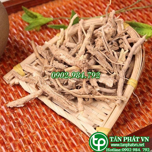 Địa cốt bì khô 500g