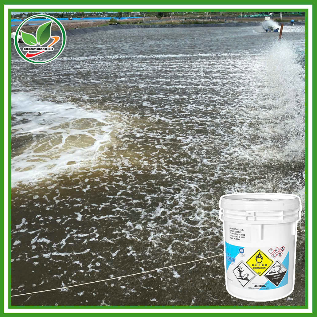 Bột khử khuẩn Clorin-Nhật. Hóa chất xử lý nước, khử khuẩn. Thùng 1kg