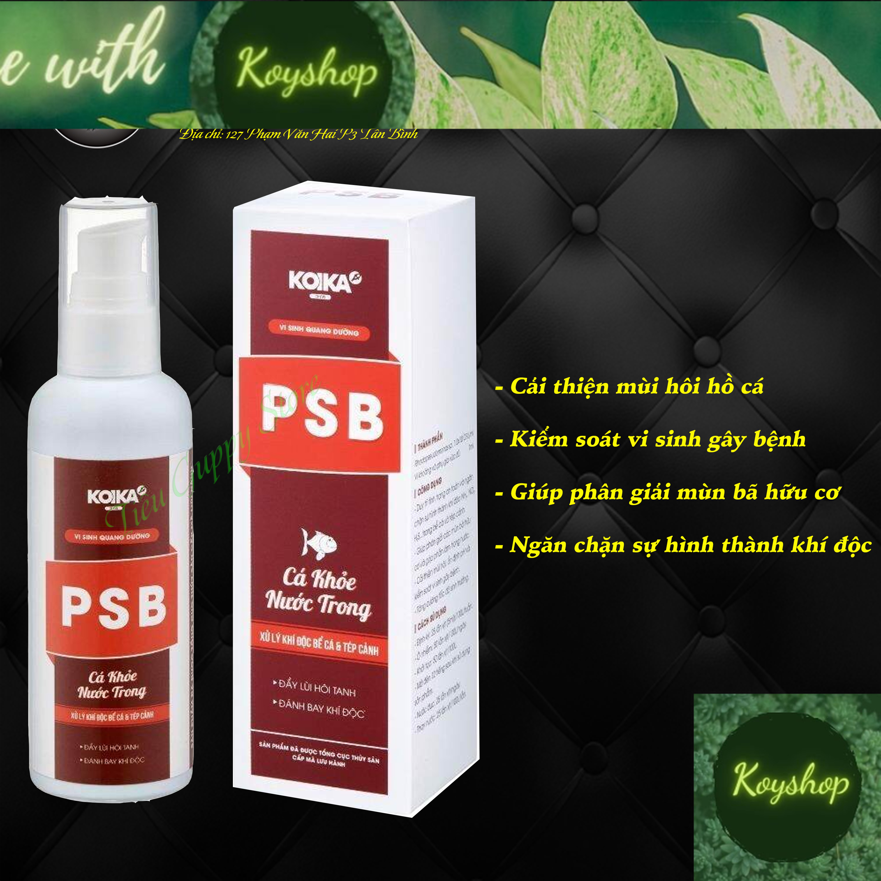 Koika psb - vi sinh quang dưỡng, chuyên xử lý khí độc bể cá