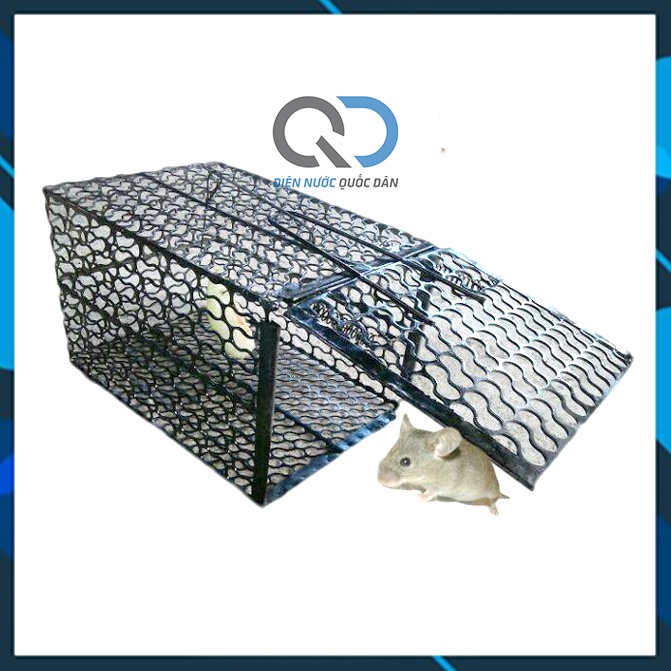 Lồng Bẫy chuột - Bẫy Bắt Chuột bằng sắt chắc chắn