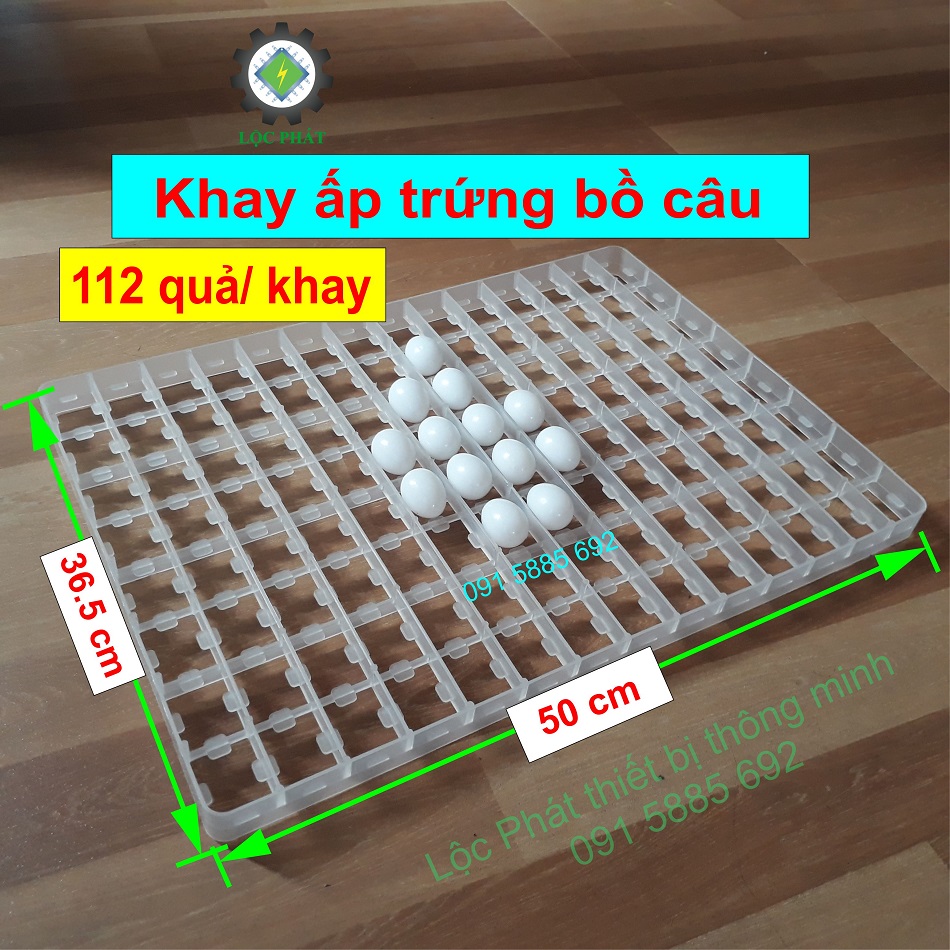 Khay Đảo Nghiêng Làm Máy Ấp Trứng Chim Bồ Câu - Khay Nhựa cho chim