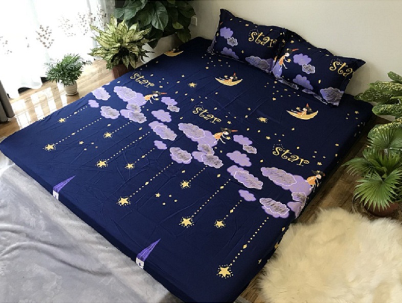 Set 5 Món Vỏ Chăn Ga Gối Cotton Poly