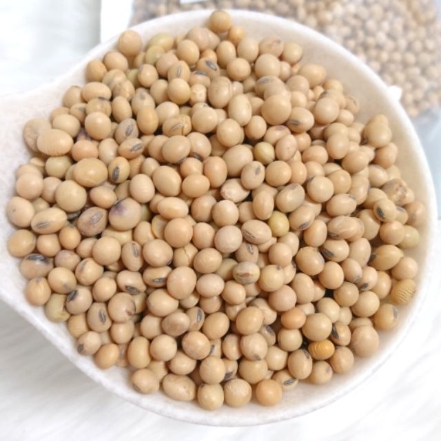 500Gram Đậu Nành Đăklăk Giống Thuần