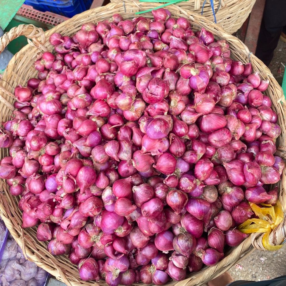 hành tím phan rang