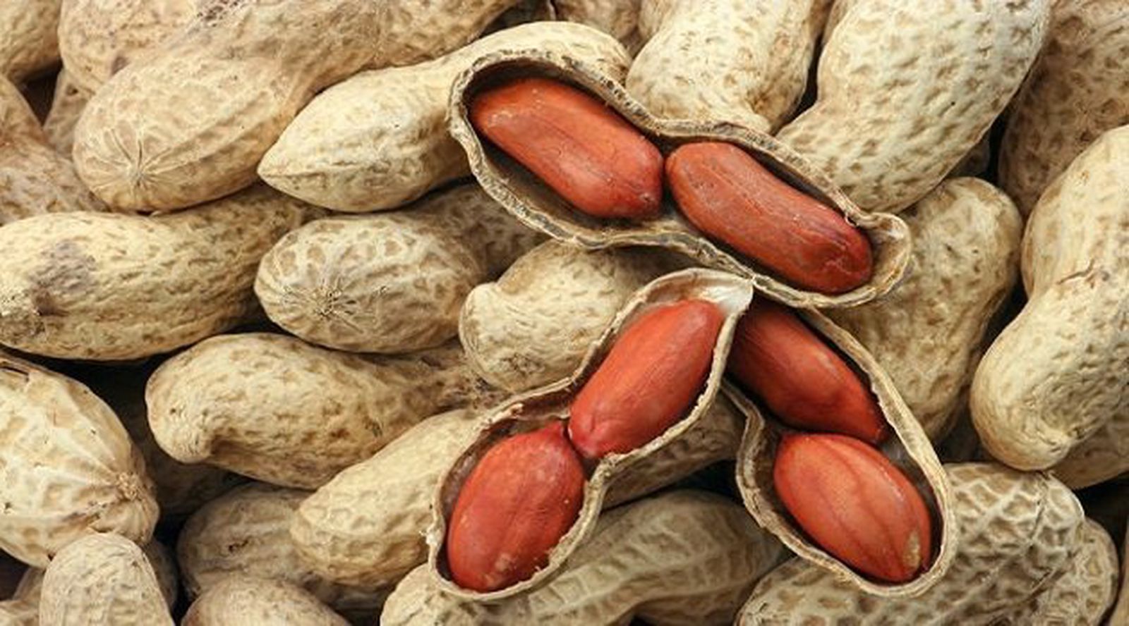 Đậu phộng Rang Dùng kèm Dừa Sáp