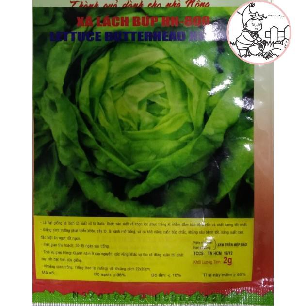 Hạt giống xà lách Búp - Gói 2 gram