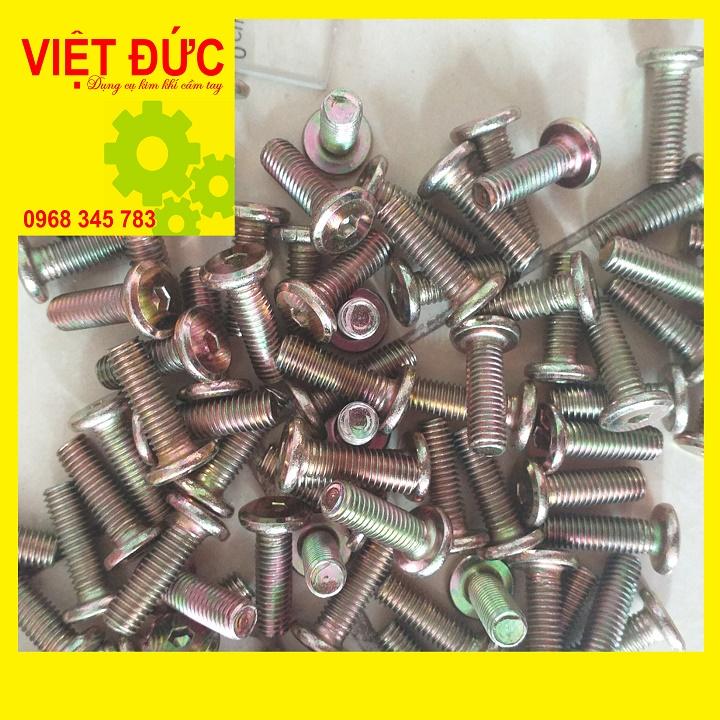 Bu lông lục giác chìm phi 8 dài 25cm 100con