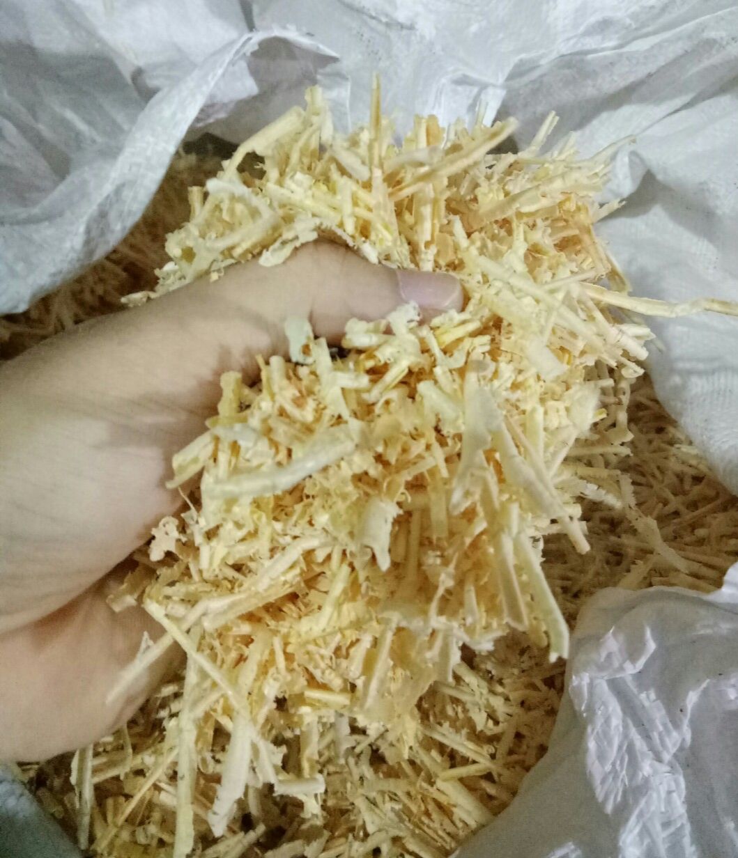 [Ảnh thật] 1 BỊCH DĂM BÀO MỀM LÓT TỔ CHO CHIM, VẸT, YẾN PHỤNG