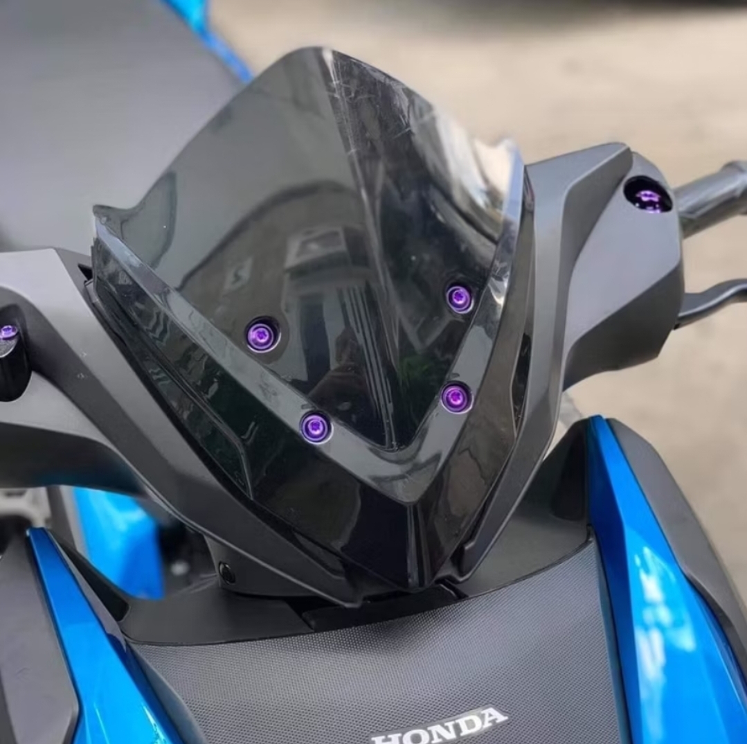 Mão pha lê 4 lổ đầu sói xe WINNER X V2 2019-2021