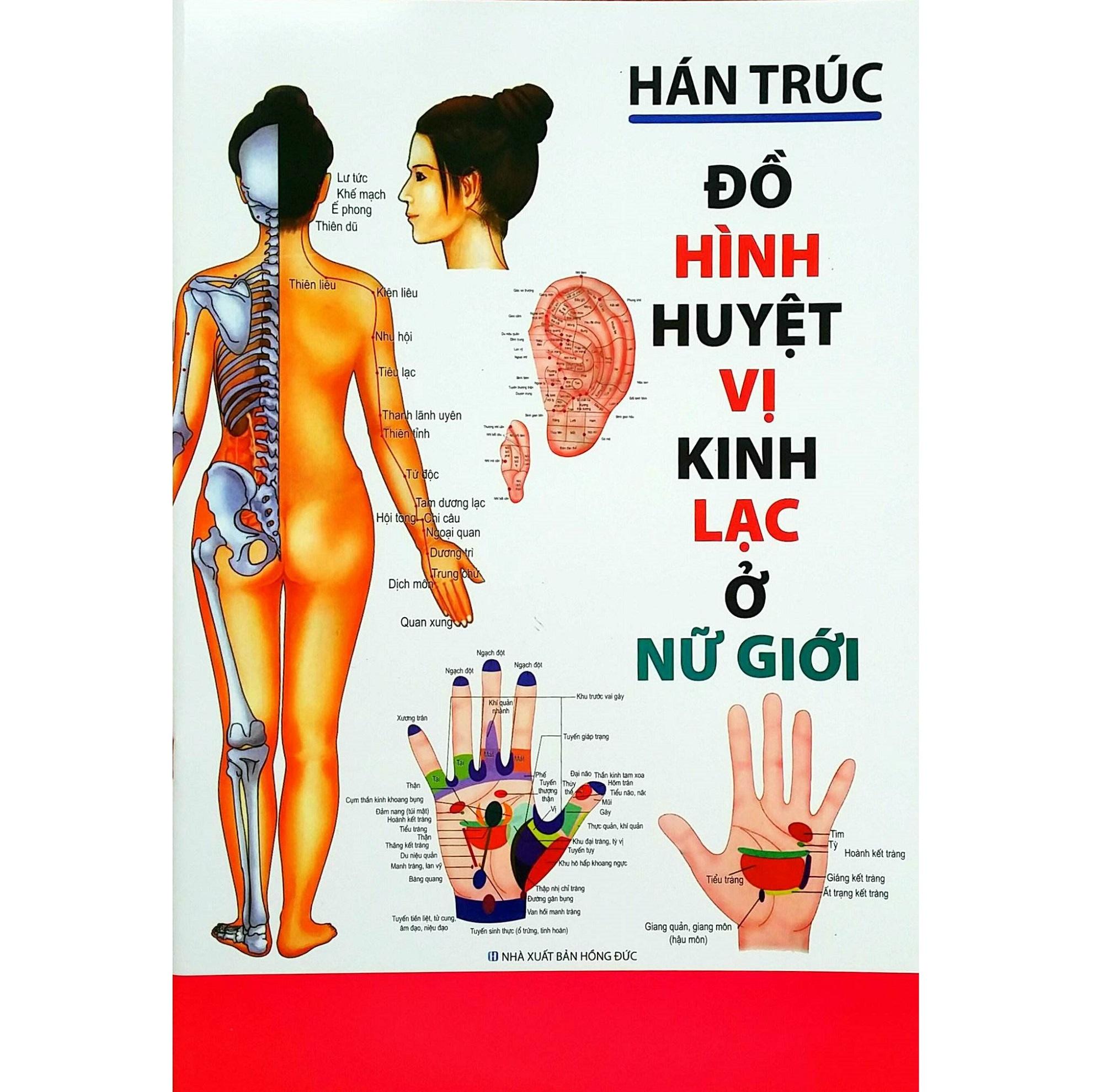 Đồ Hình Huyệt Vị Kinh Lạc Ở Nữ Giới - Hán Trúc