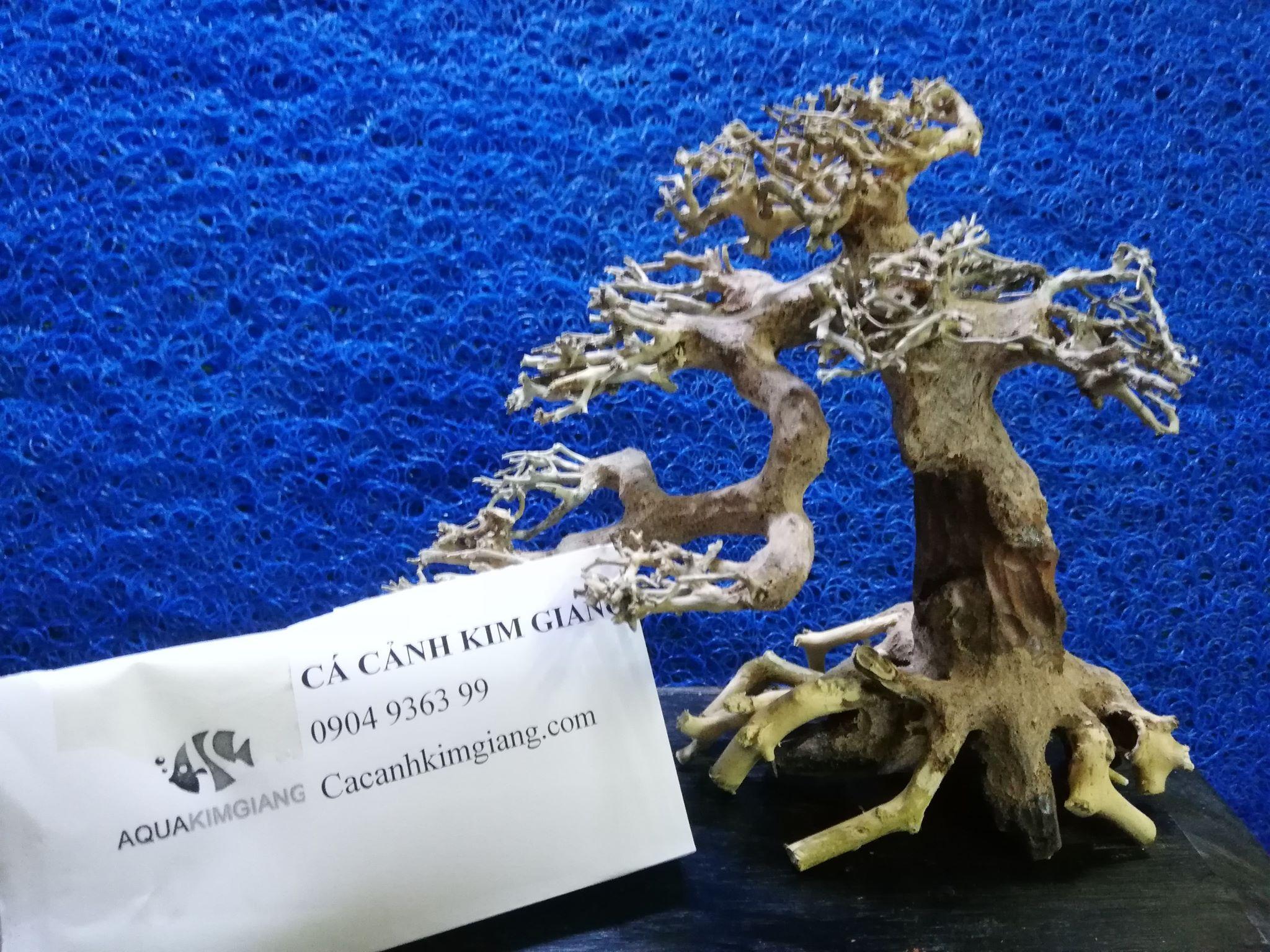 Lũa bonsai thủy sinh – Lũa cho hồ cá thủy sinh