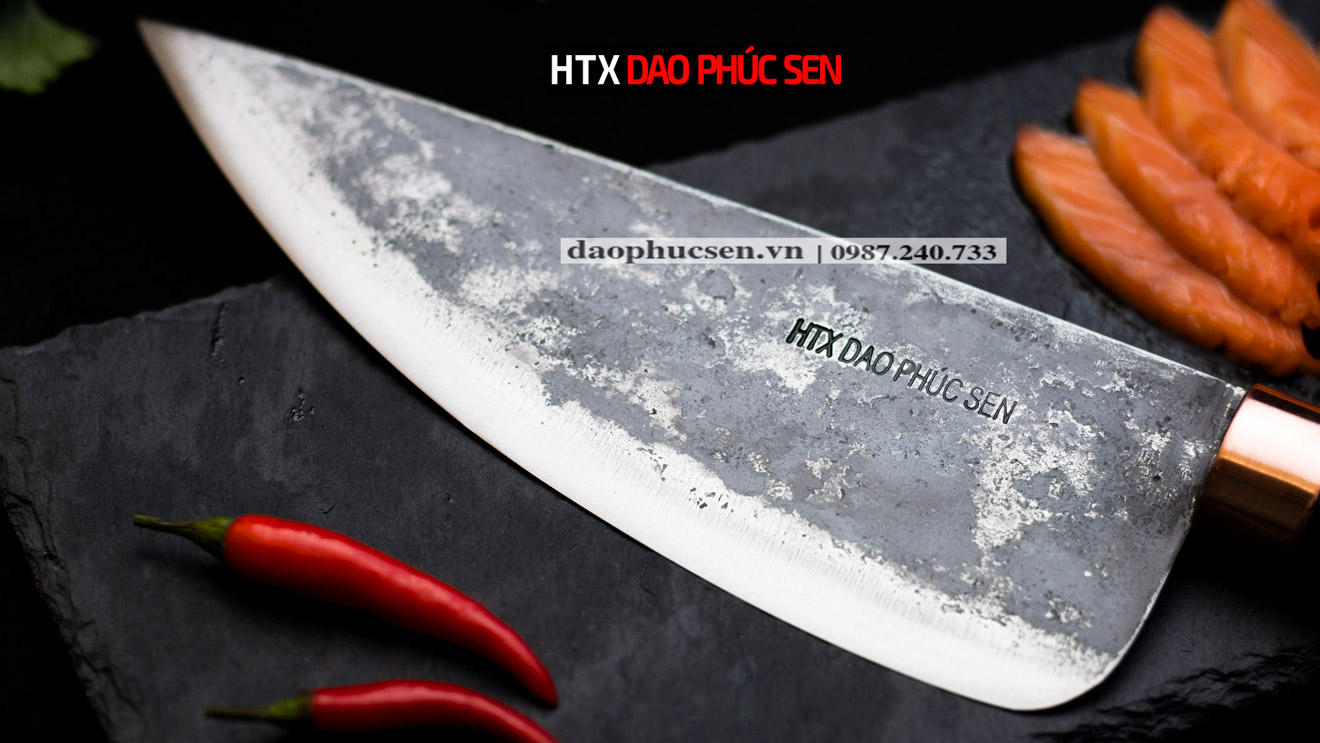 Dao bầu lọc 22cm nhíp xe G10MDD
