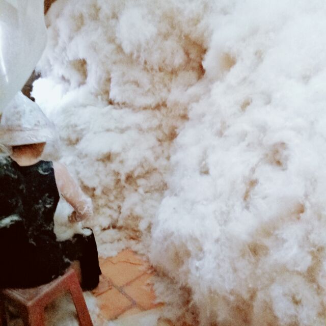 BÔNG GÒN TRÁI TỰ NHIÊN 100% ĐÃ LỰA SẠCH HỘT