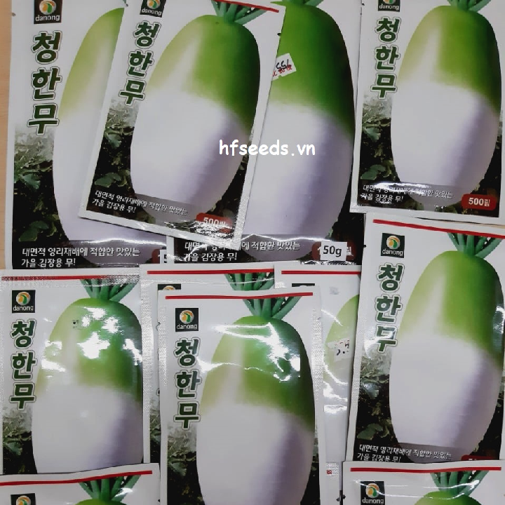 [Hạt giống Hàn Quốc] Gói 150 hạt giống củ cải trắng Hàn Quốc