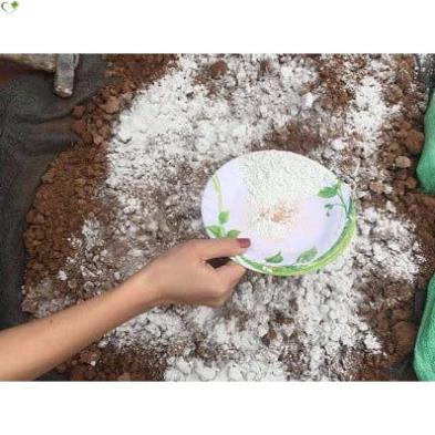 Vôi bột xử lý đất trồng cây 1kg