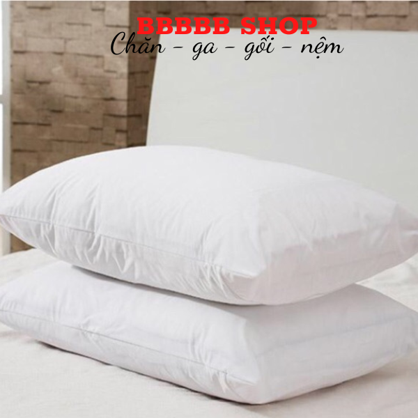 Combo 2 Ruột Gối Hơi Mền Mịn RIOTEX