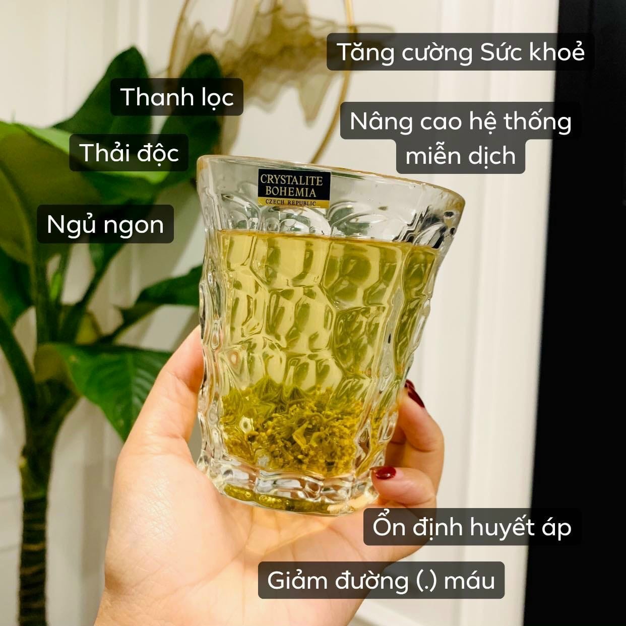 (siêu rẻ) TRÀ HOA SÂM ĐẤT CHÍNH HÃNG HÀN QUỐC GÓI TO 500GR