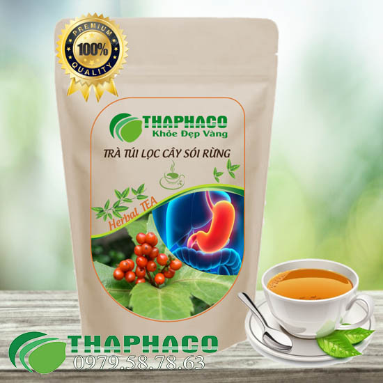 Trà Túi Lọc Cây Sói Rừng Thaphaco