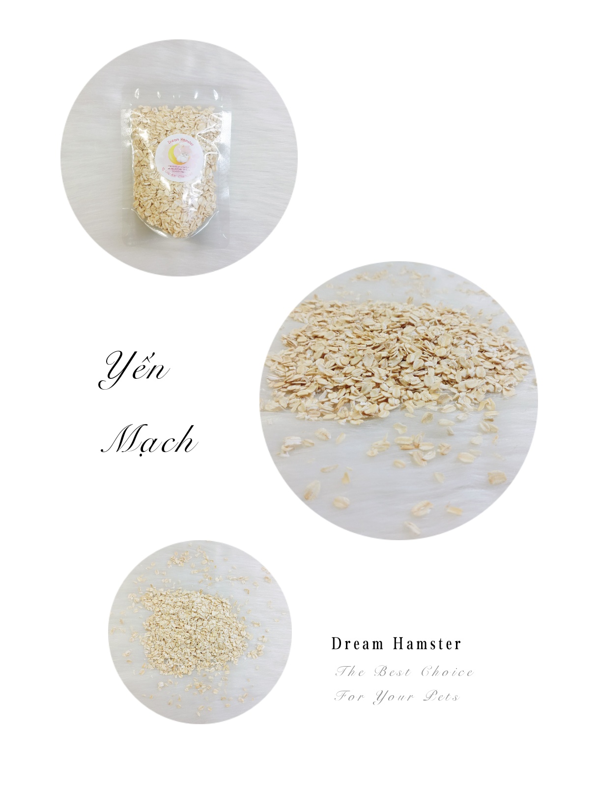 Yến mạch bổ dưỡng cho Hamster (100gr)