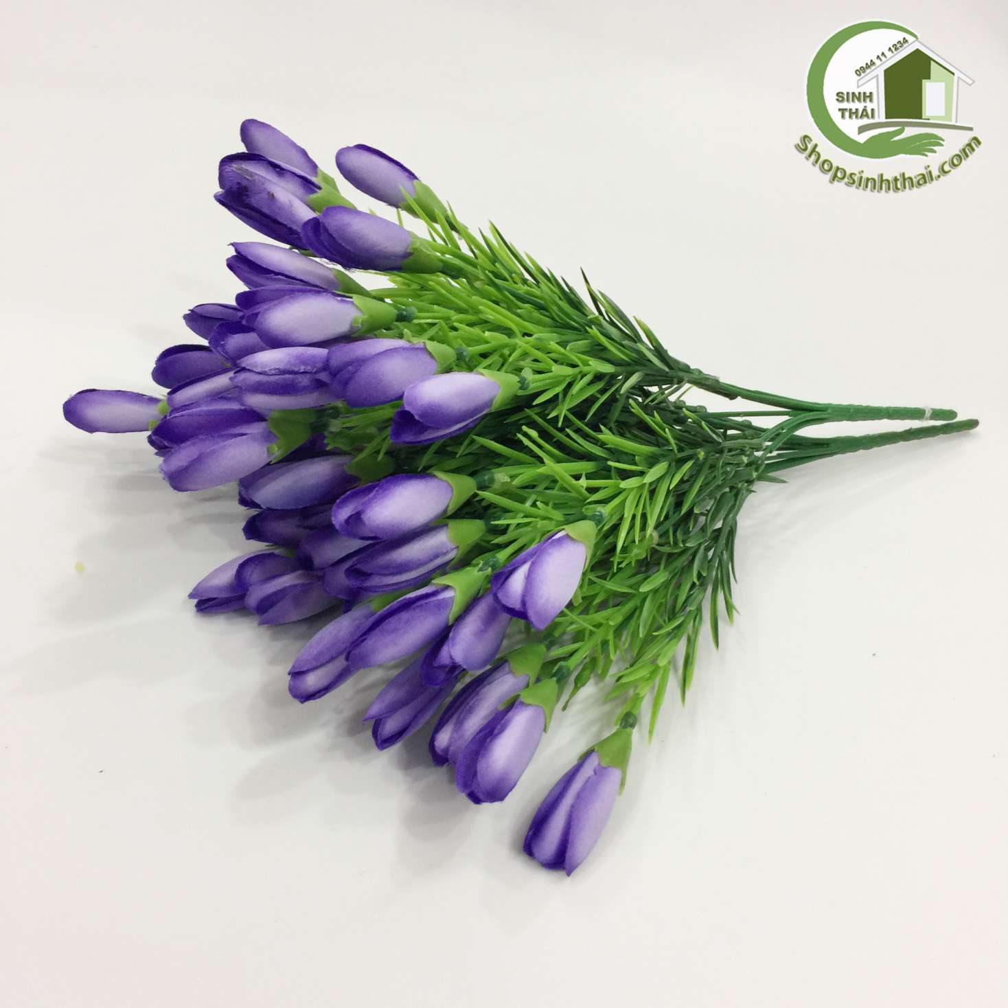 [HCM]Bụi Hoa Tulip Nhí Màu Tím