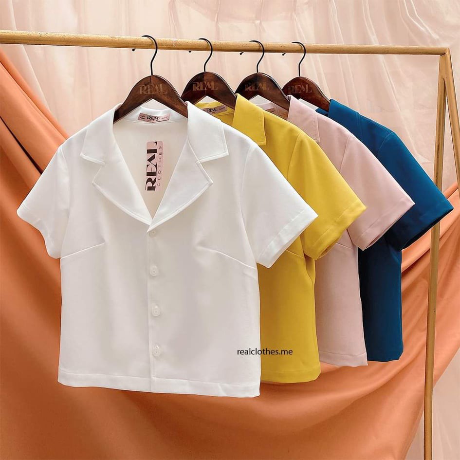 Rập áo cổ danton - rập giấy mã 1294