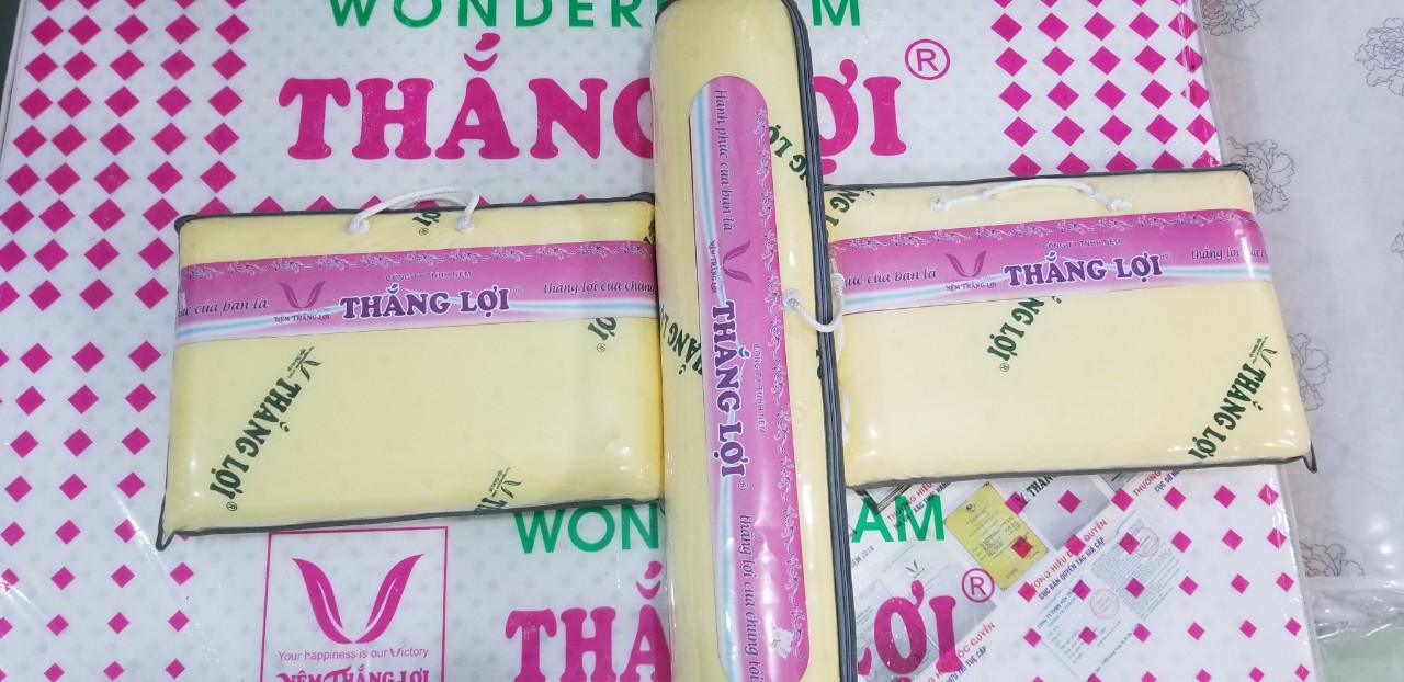 [HCM]Gối CAO SU NON THẮNG LỢI 40*60 Cao Cấp