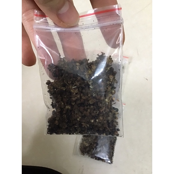2 Gói gia vị mắc khén - hạt mắc khén