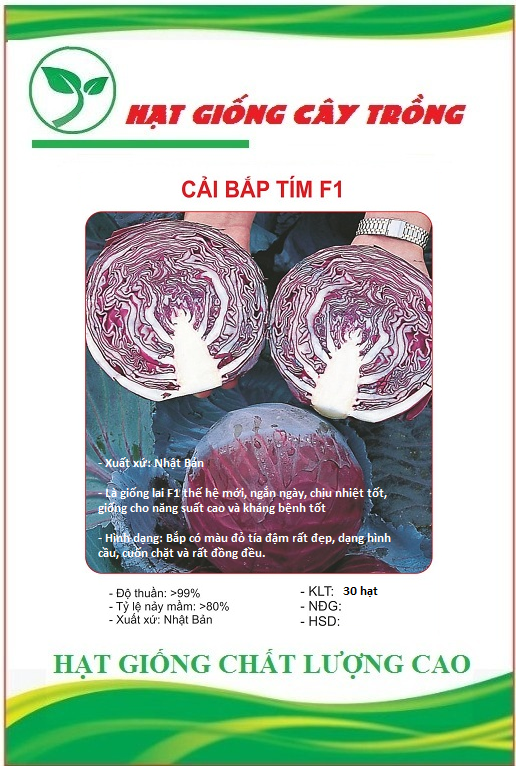 Hạt giống bắp cải tím f1 ct2 - gói 30 hạt