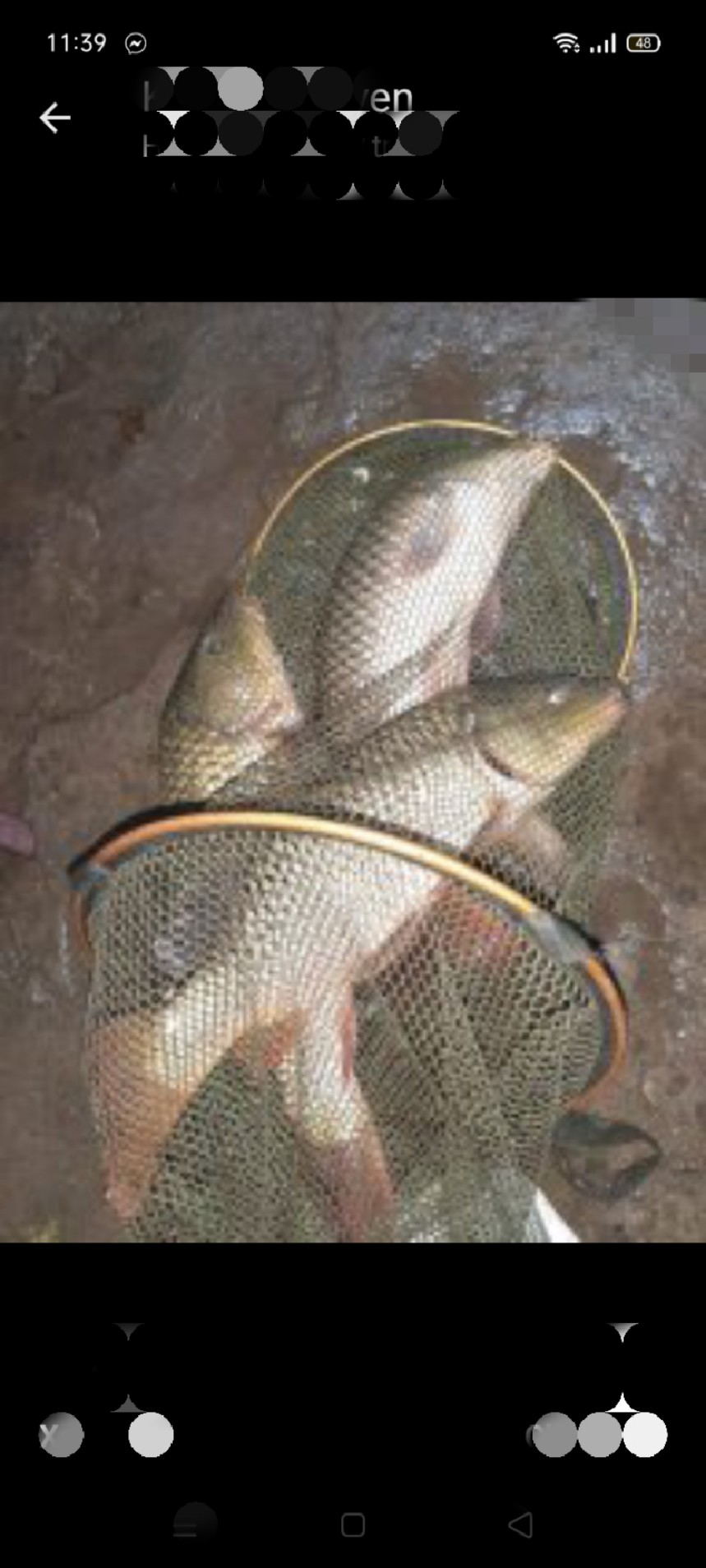 1KG MỒI CHÉP-MỒI CHUYÊN CHÉP-1KG/GÓI