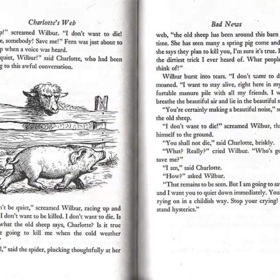 Newbery Award Favourite Library - 8 books