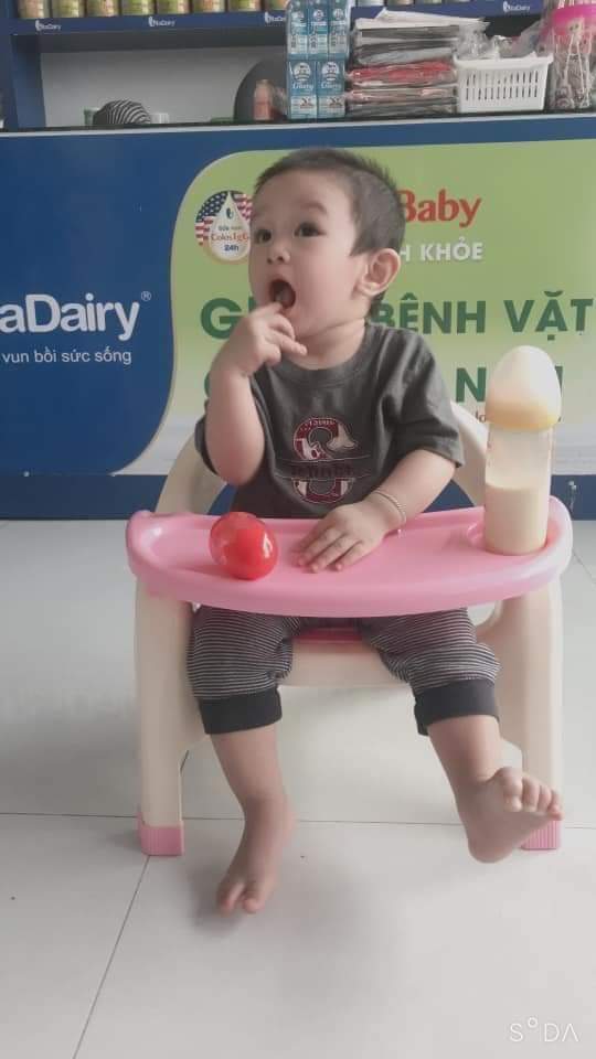 [HCM]Ghế Ăn Dặm - Ghế Ăn Dặm