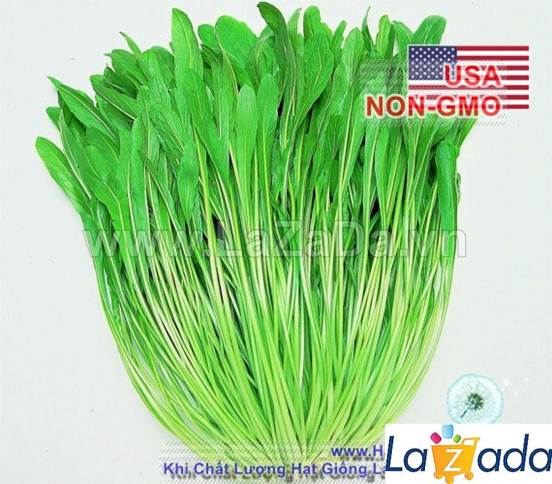 400h Hạt Giống Cải Ngọt Nhật Mibuna (B1.204| C49*W55*M211)