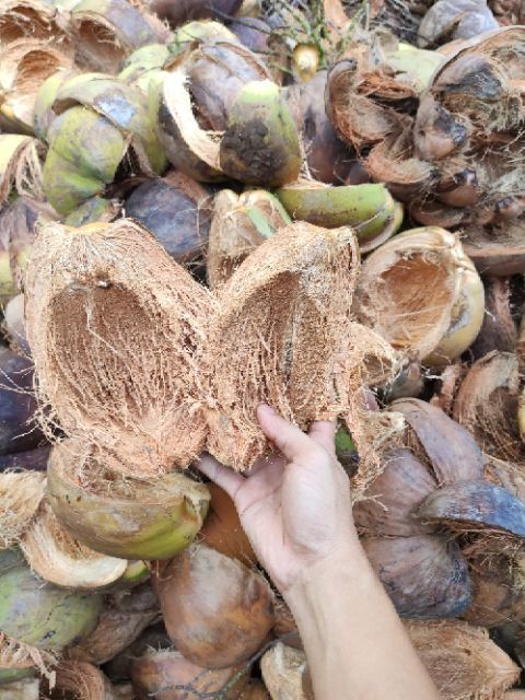 Vỏ dừa khô trồng lan 1kg