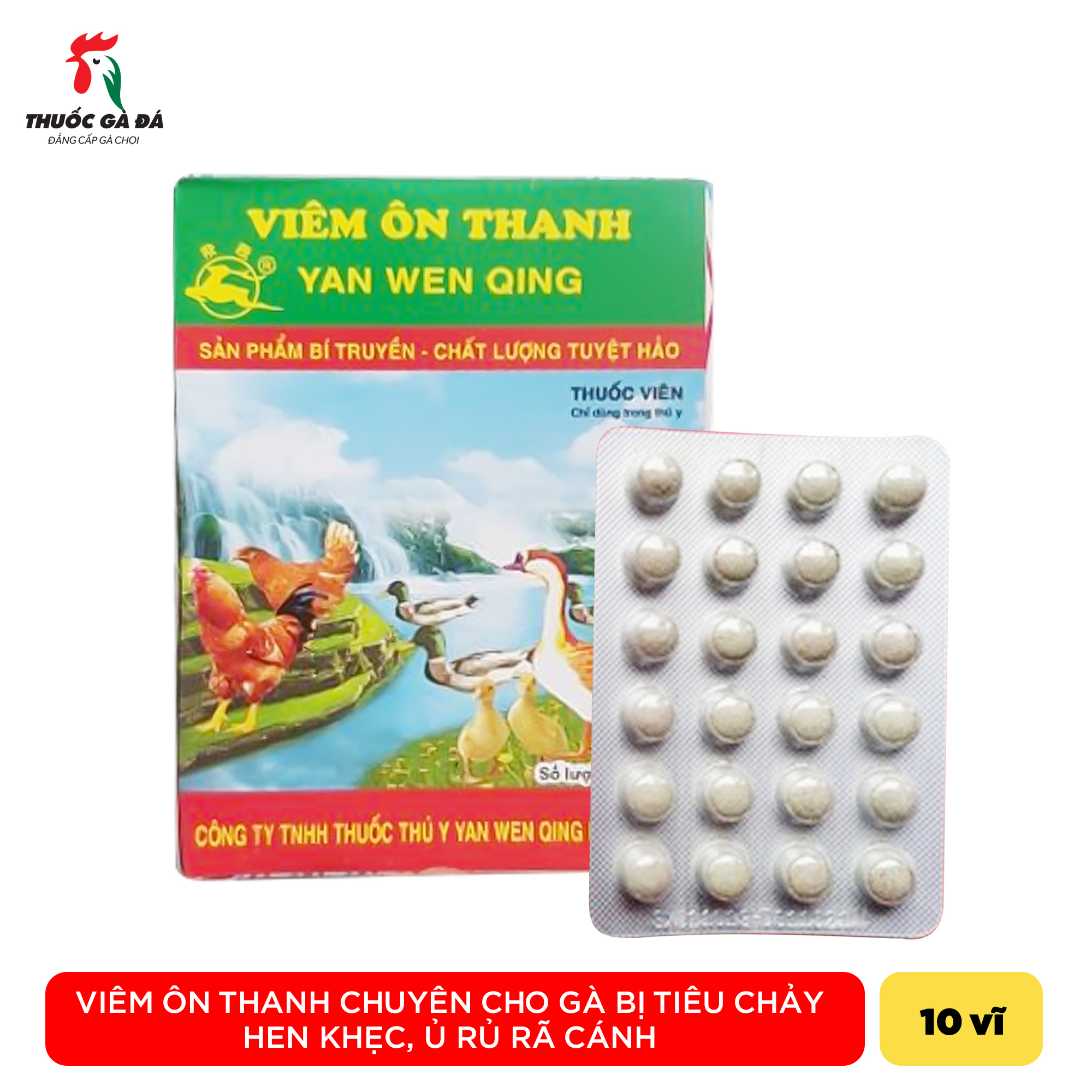 10 hộp viêm ôn thanh