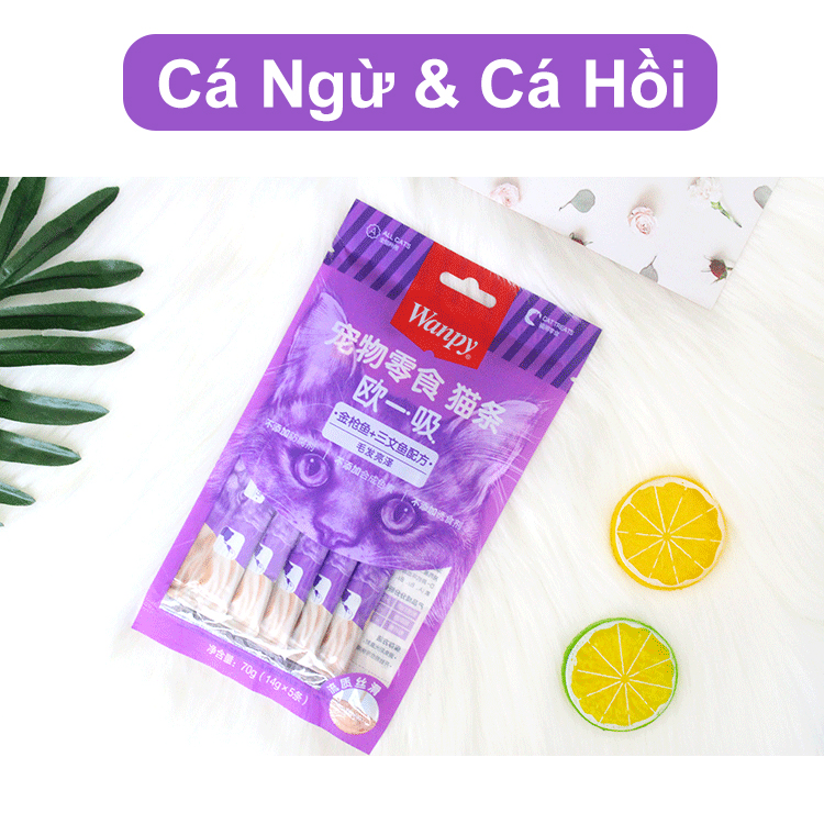 Súp Dinh Dưỡng Wanpy Cho Mèo Gói 5 Thanh x 14g