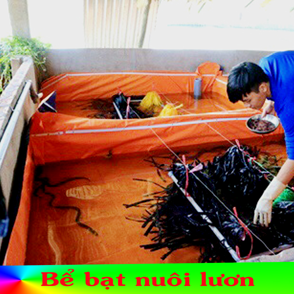 Bể bạt nuôi lươn ốc ếch cá kích thước 4m x 2m x 1m
