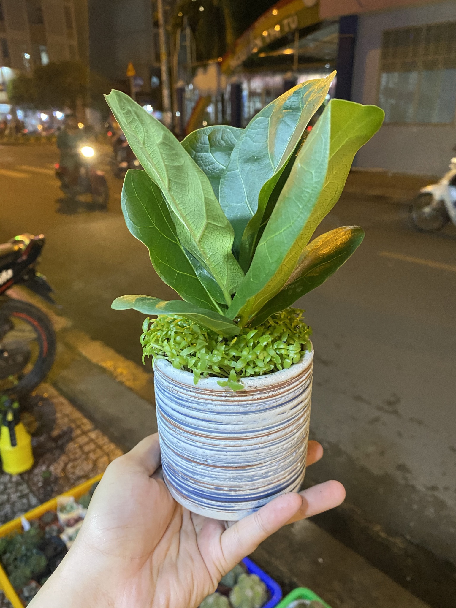 BÀNG SINGAPORE MINI ĐỂ BÀN