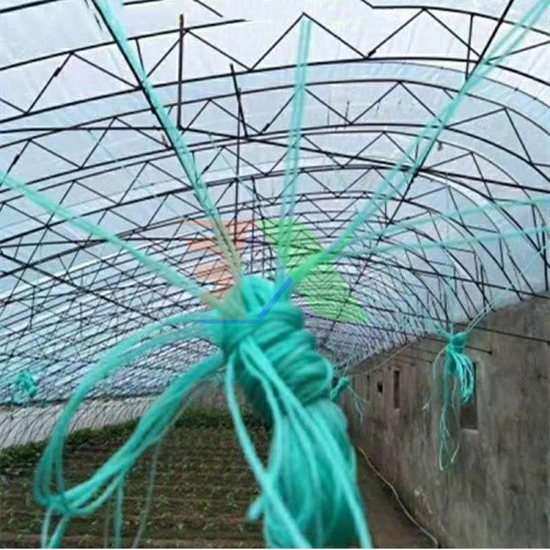 Dây treo nâng cây DAT-21, Dây treo dưa lưới, Dây nâng dưa leo, Dây treo cà chua, Nho - Cuộn 1000 m